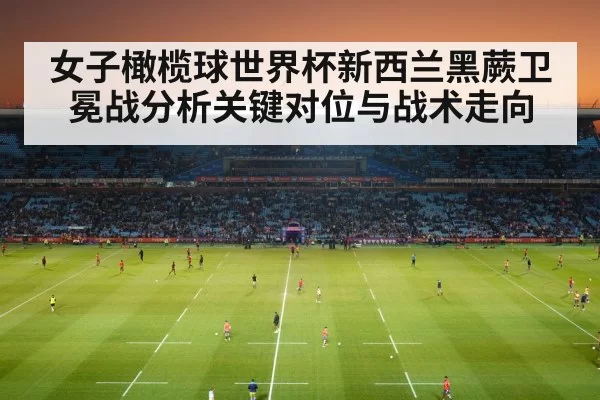 rugby stadium crowd atmosphere